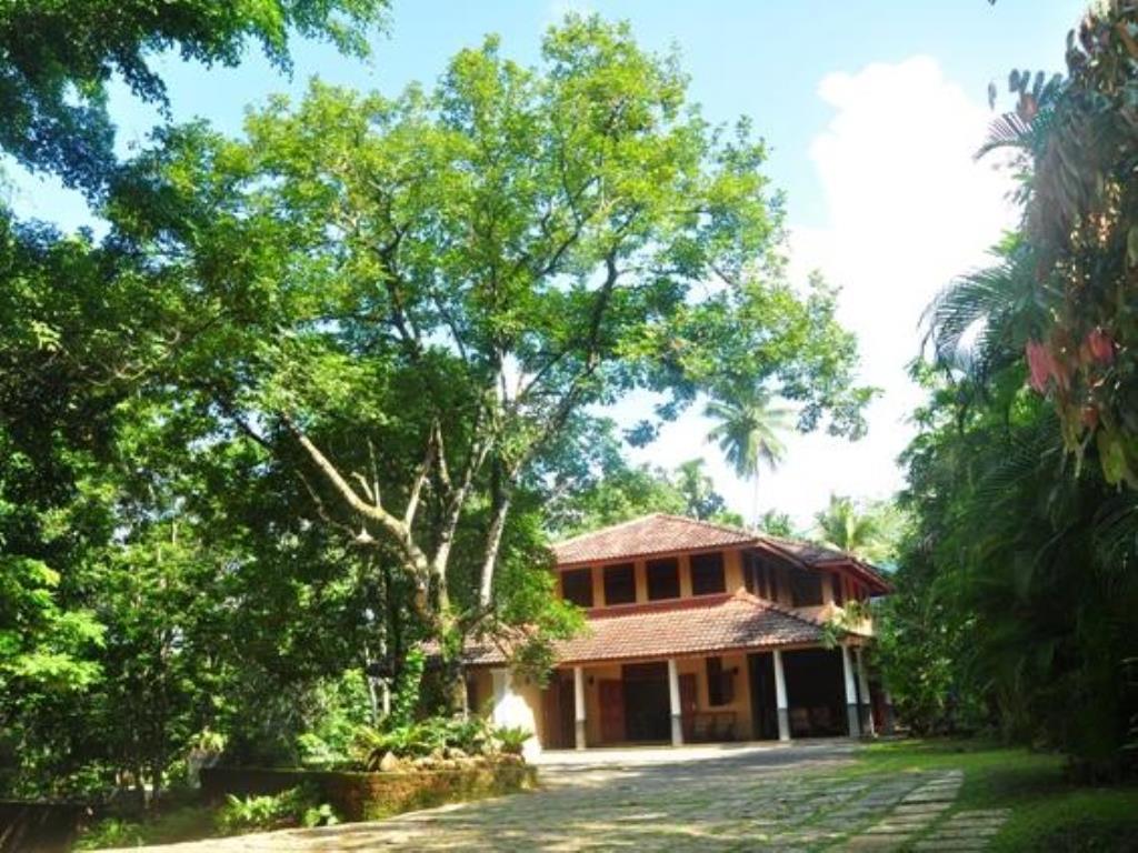 Nature Lovers Resort Ingiriya Eksteriør billede